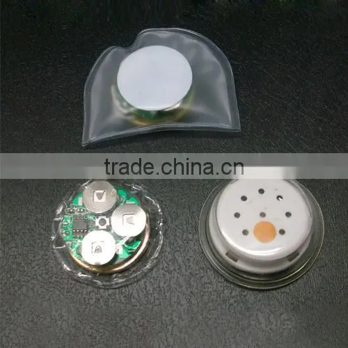 2013 Waterproof sound module for promotion item/gift