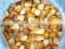 Canned Suillus Mushroom In Brine