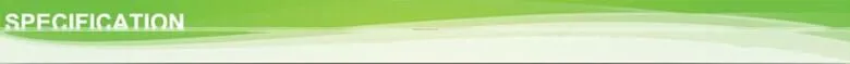 100% natural bamboo toothpick with round holder