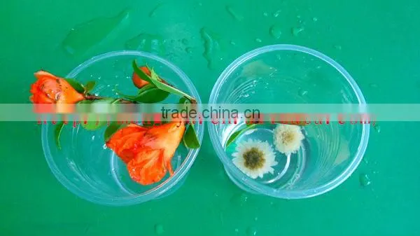 12oz disposable plastic beverage cup