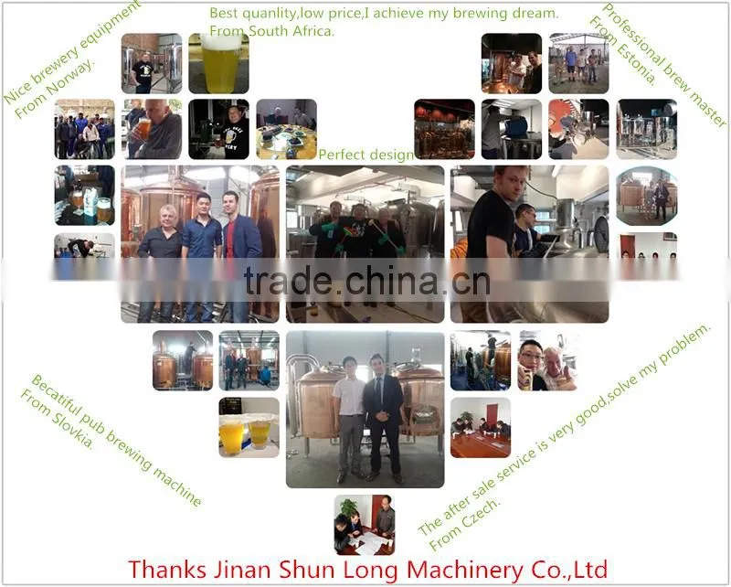 300L Brewhouse Micro Brewery Equipment/Home Brewing Equipment