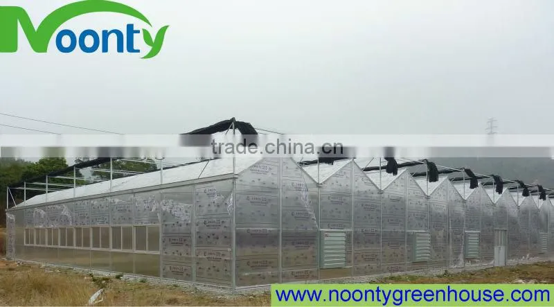 Polycarbonate Sheet Greenhouse