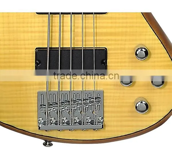 5-string bass guitar for custom design