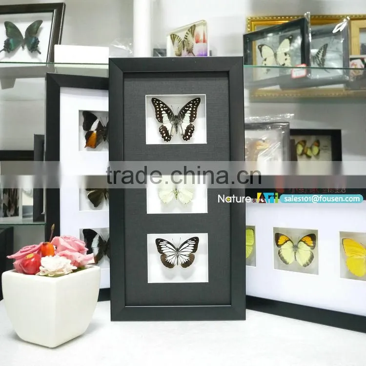 FOUSEN(023) Nature& Art framed natual real dried butterfly art set