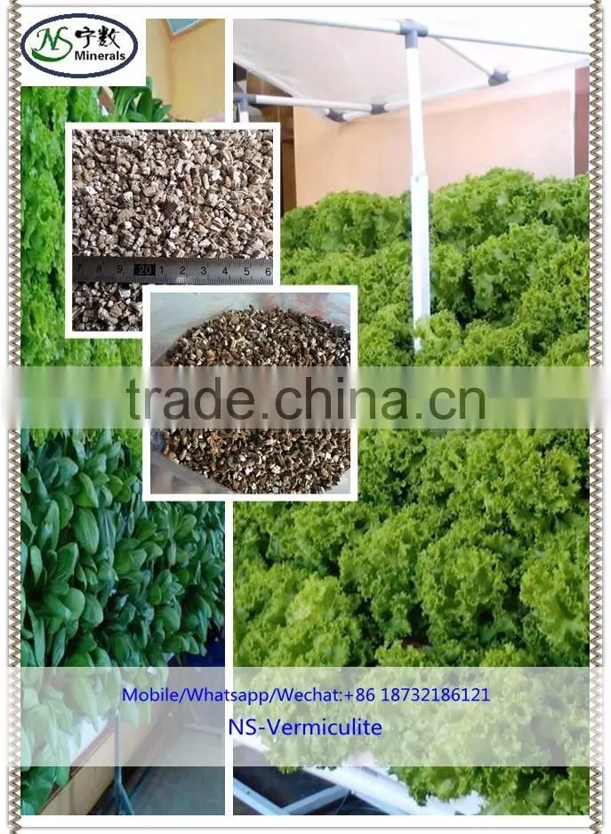 Bulk Gardening Silver Granular Expanded Vermiculite From Factory Price