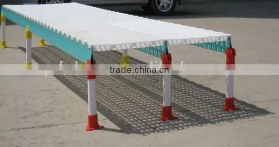 Hot sale! plastic floor for poultry