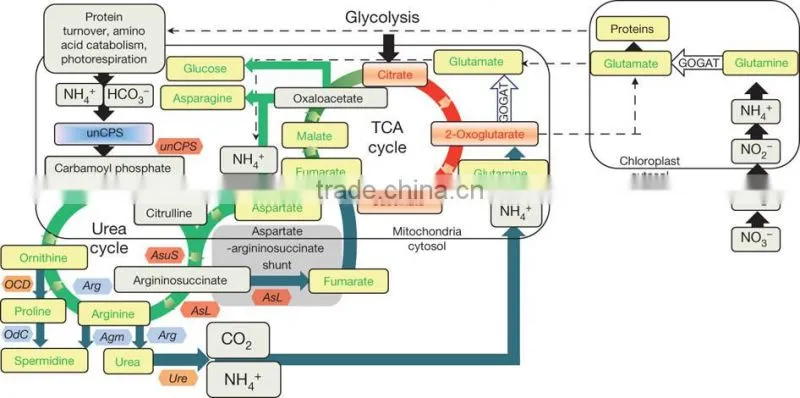 chemical fertilizer production plant urea prices