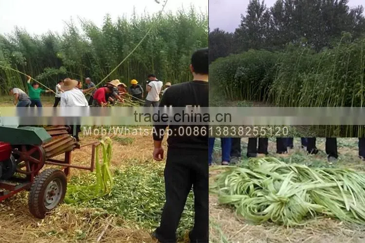 Factory Supply Hemp Abaca Fiber Opening machine