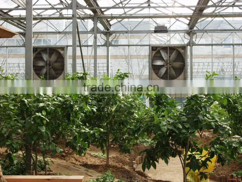 evaporative high quality cooling pad fan manufacturer for greenhouse