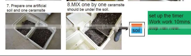 dutch bucket system