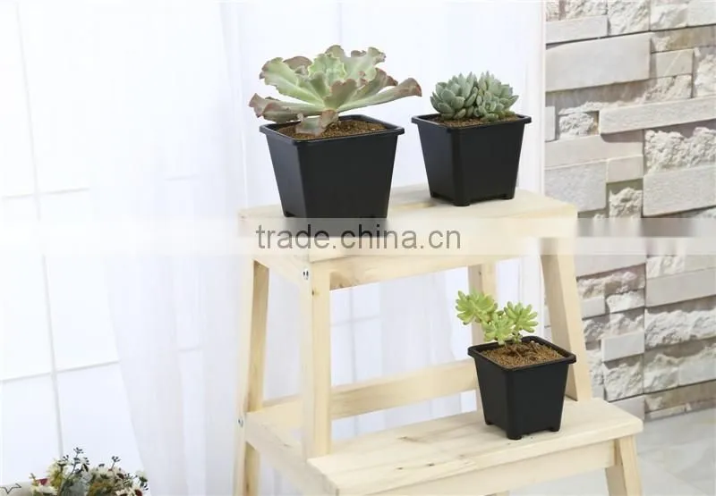 European Sqaure Pot