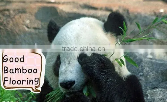 Good Carbonized Horizontal Eco Forest Bambo Flooring