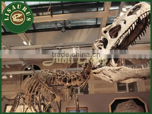 JLDF-0159 Film prop dinosaur fossils for movies