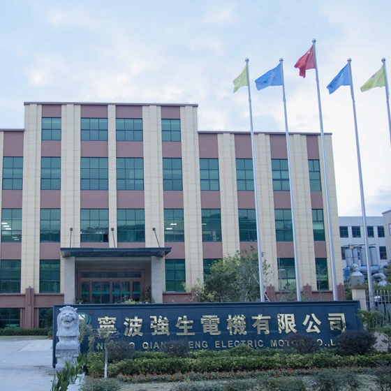 Ningbo Qiangsheng Electric Motor Co.,Ltd company overview - view 1