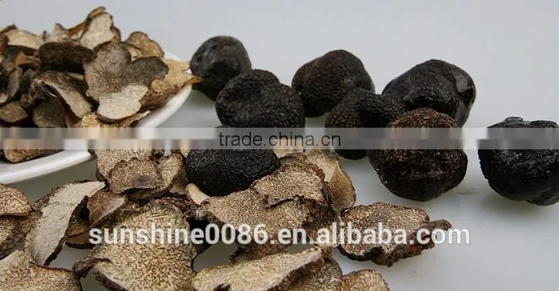 High Quality Black Truffle Mushrooms mushrooms