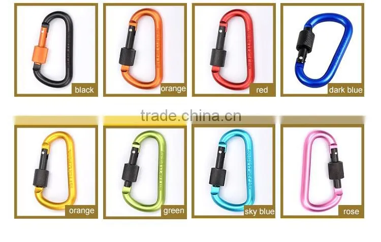 Carabiner KeyChain