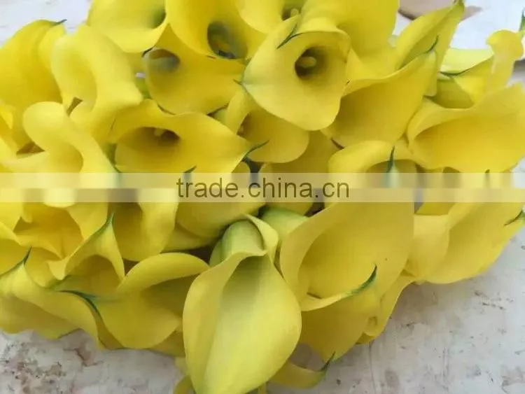 Cut Fresh manufacture bottom price calla lily pick