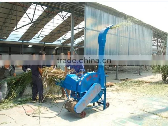 Cattle/sheep feed chaff cutter for hay