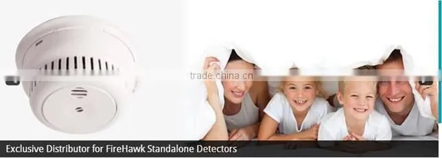 Electronic Vibration Detector System