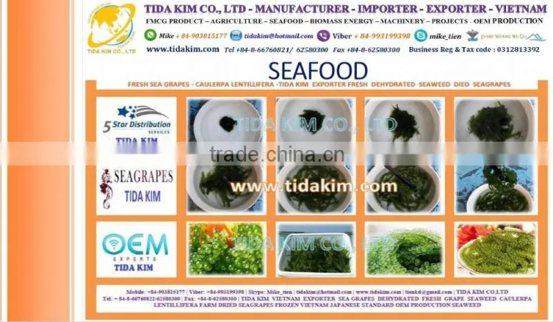 ITOYORI SURIMI MIXED KINTOKIDAI TIDA KIM FRESH FROZEN LOBSTER SHRIMP FISH WHOLE BABY OCTOPUS SURIMI VIETNAM MANUFACTURER ALIVE