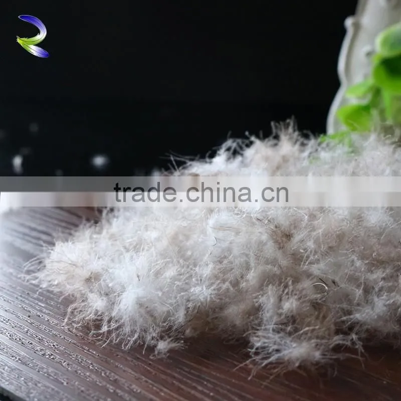 Fashion design high quality cheap price fill duck down