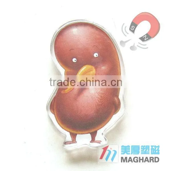 Acrylic fridge magnet