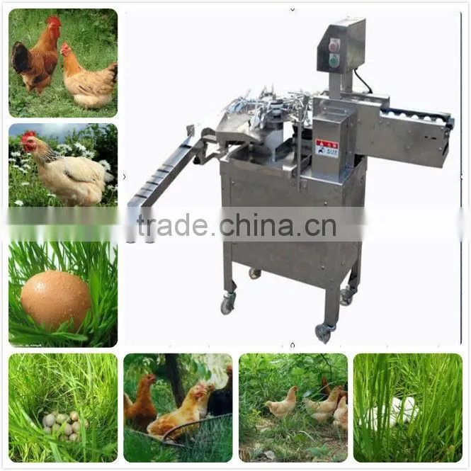 China newest automatic 3000pcs/h stainless egg breaking machine/egg breaker(008613823737025)