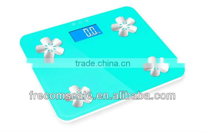 body fat hydration muscle bone scale bone scale