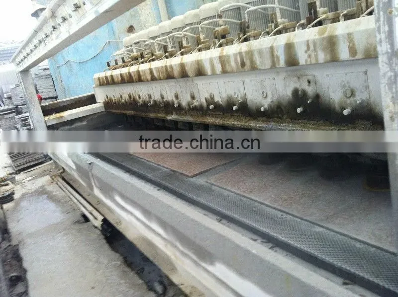 china granite G664