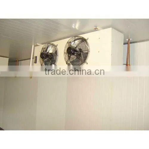 DS-A22 commercial air cooler