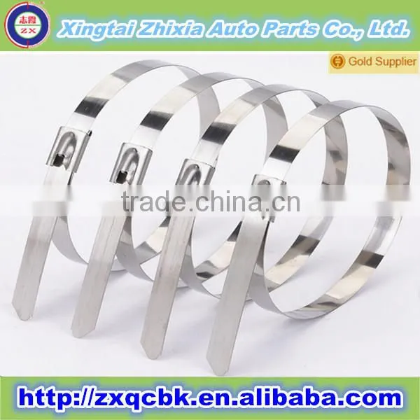 Promotional Stainless Steel Cable Ties/Nylon Cable Ties/Twist Ties