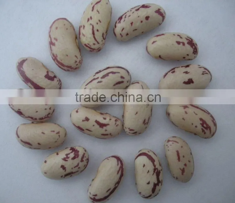 Light Speckled Kidney Beans Long Shape (Heilongjiang)