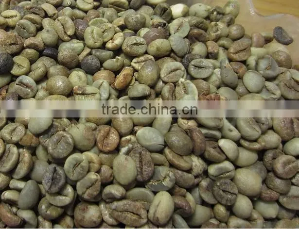 VIETNAM ROBUSTA COFFEE BEAN