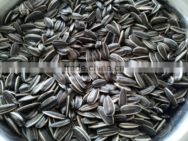 2015 CROP inner mongolia sunflower seeds 5009