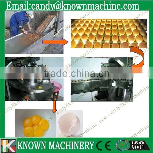 egg grading machine 3000pcs/hour
