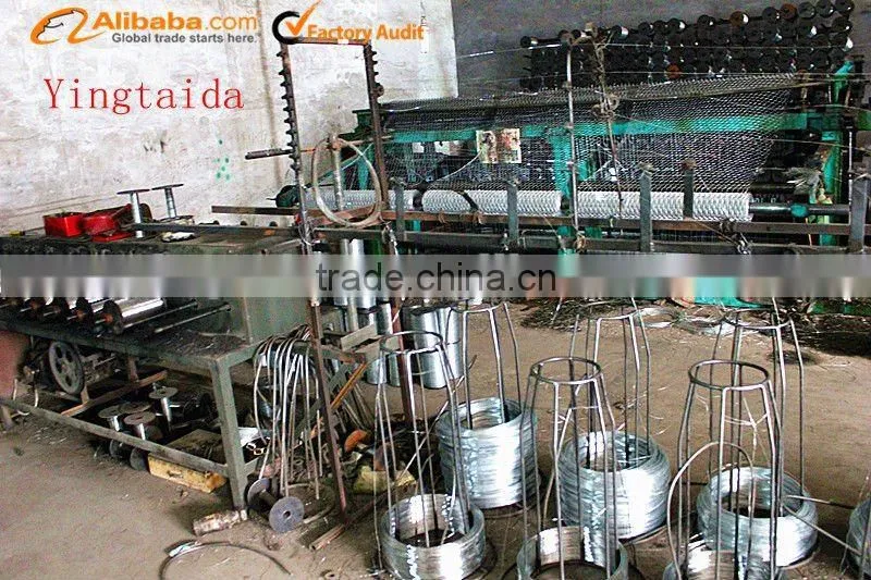 Galvanized Chicken Net