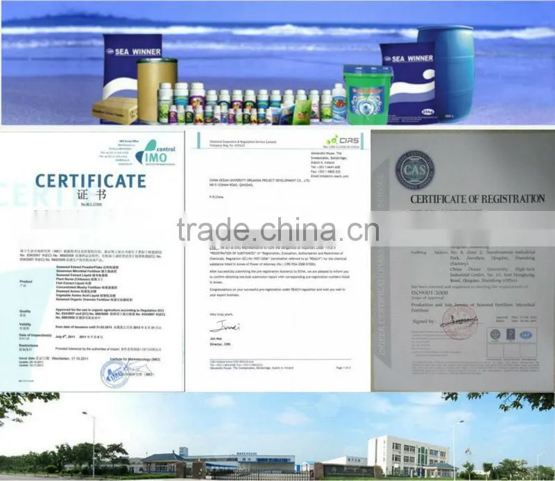 Agriculture Bio Bulk Organic Fertilizer Bactericide Seawinner Iliquid chemical fertilizer