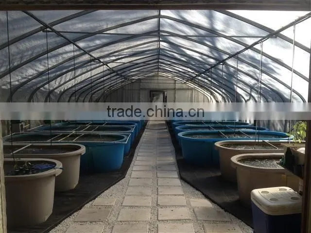 Hot sale K-1000L Rectangle Plastic Aquaponics Grow Bed