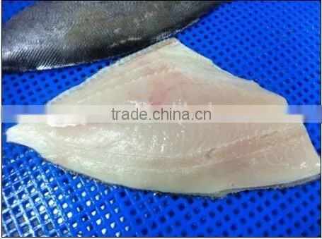 frozen brama fillet