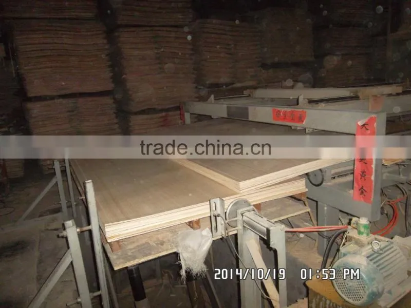 okume plywood/poplar polywood