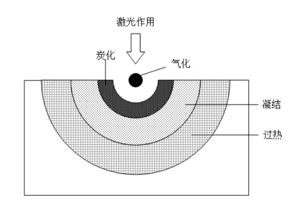 微信图片_20260310144239_403_490.png