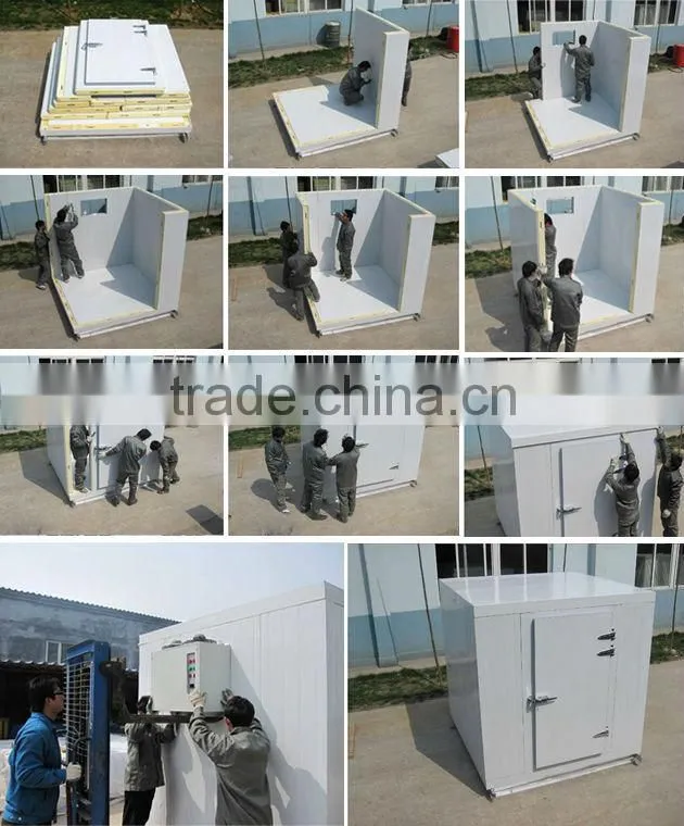 China seed germination chambers with Copland compressor condensing unit, cold room