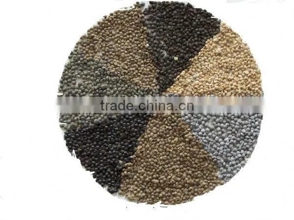 high quality dzj machine for making compound fertilizer