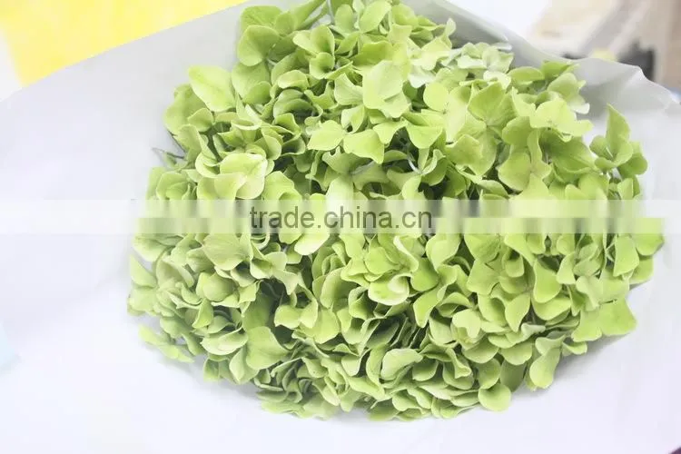 Fragrant aroma hot-sale hydrangea flower