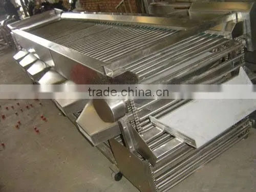 Fruit grading machine