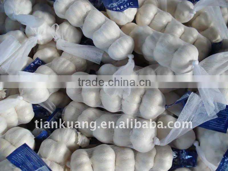 2011 china export garlic
