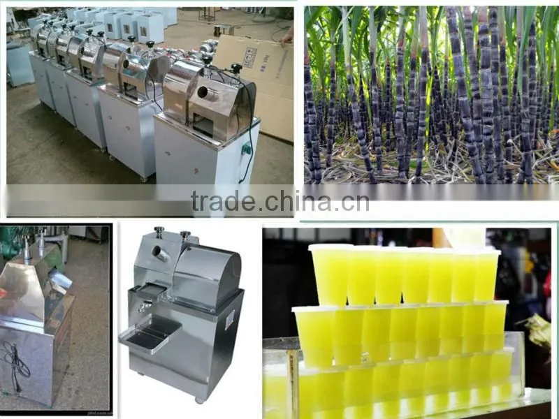Hand sugarcane juice extractor
