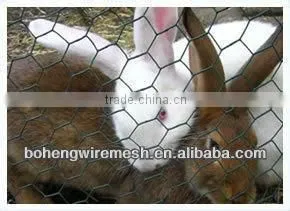 0.56mm Hexagonal Chicken Mesh