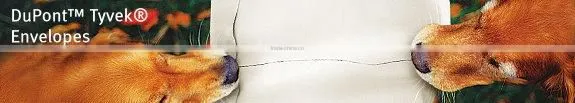 Tear resistant Fashion Tyvek Envelopes custom garment mailers