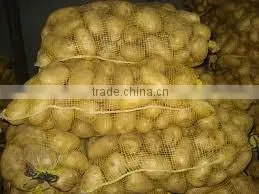indian fresh yellow , white potatoes